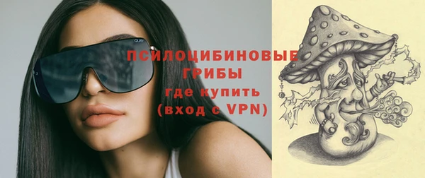 сатива Верхнеуральск