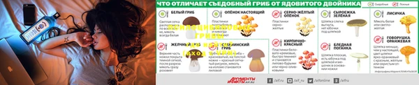 сатива Верхнеуральск