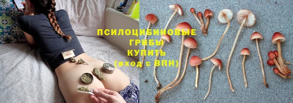 винт Верхний Тагил
