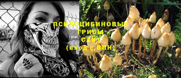 сатива Верхнеуральск